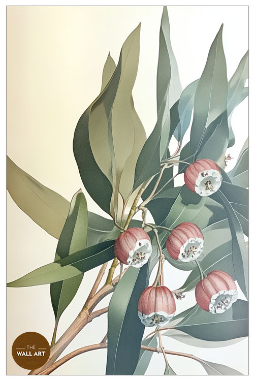 images/products/gum_leaves_iv/gum_leaves IV_WHITE_P.jpg